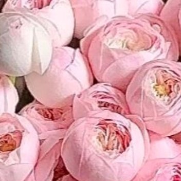 ‎每日一善 /阳光‬‬信用 错过了晨光熹微，还会有星光璀璨，所有遗憾都有圆满的答