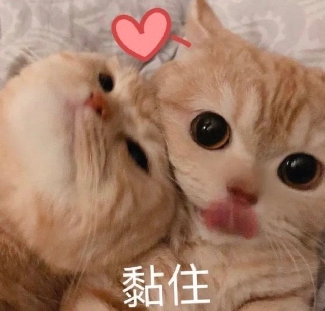 一阵子没上线，感觉像过了一个世纪……真心感谢一直在线一直干活和付出的同担，有你们