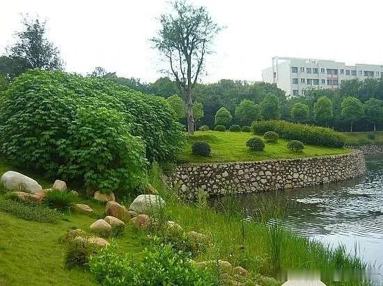 大学生喜爱内容共创计划校园生活喜欢湖北经济学院的每一天，每天不止是课，还有运动。
