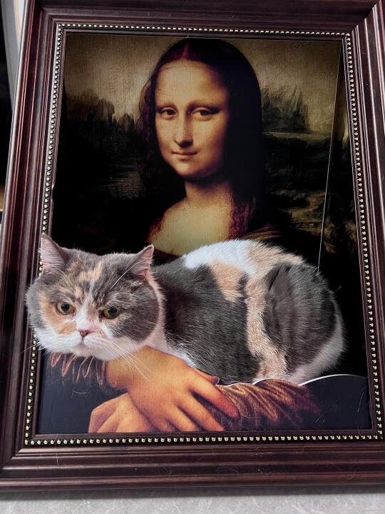世界名画喵