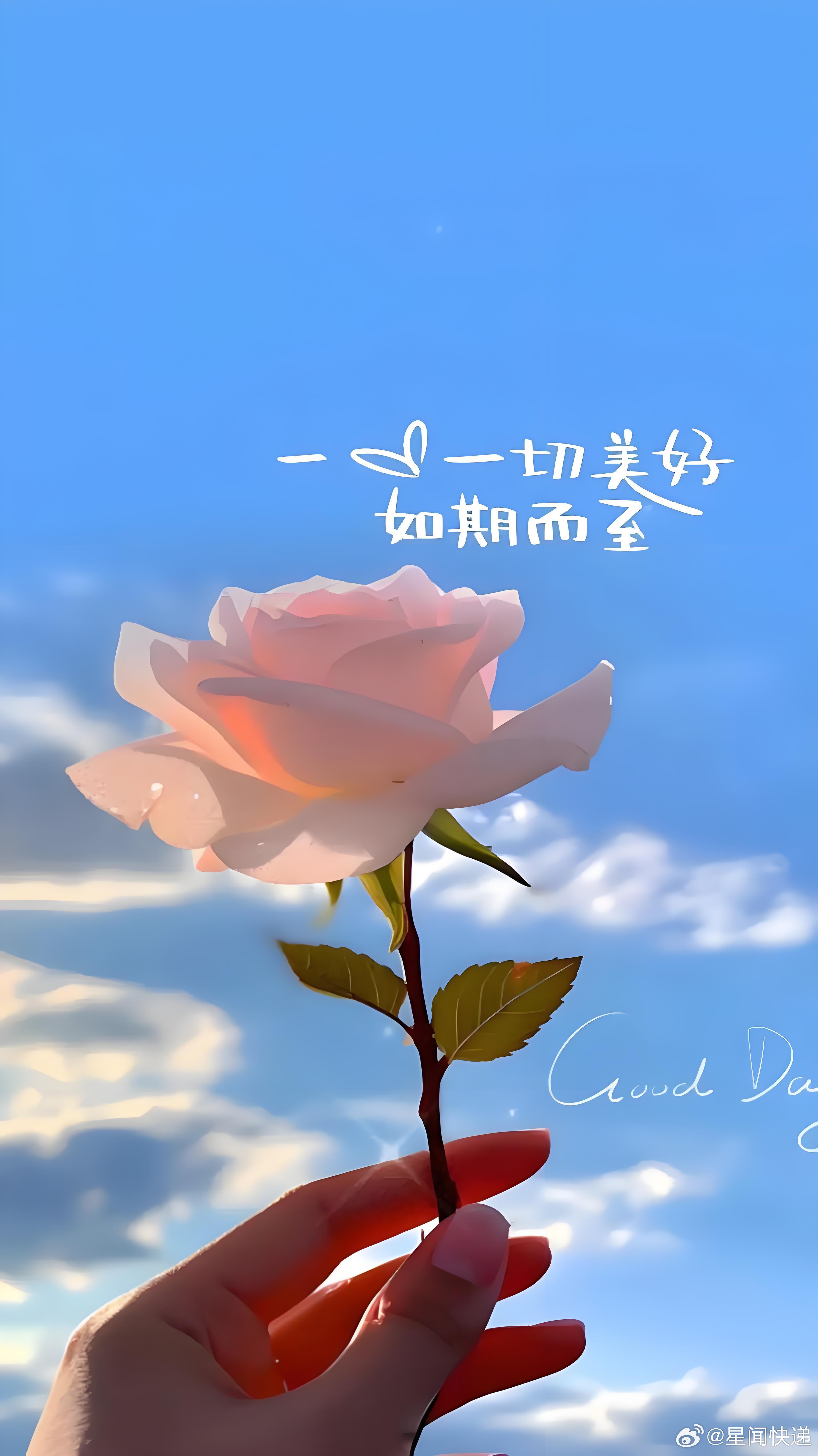 第002期抽奖，抽10个粉丝送现金🧧，点赞就行！  三天后开。动动你发财的小手