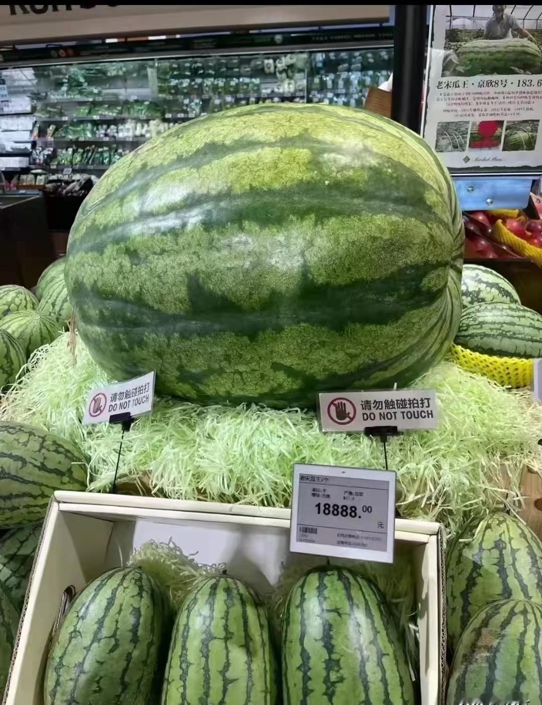 这种西瓜，接近两万一个，不知种植工艺有什么独到之处 