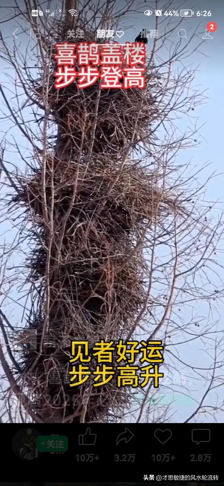 在农村和过去也不样了，也是什么也需要买的。看起来你不是农村人。