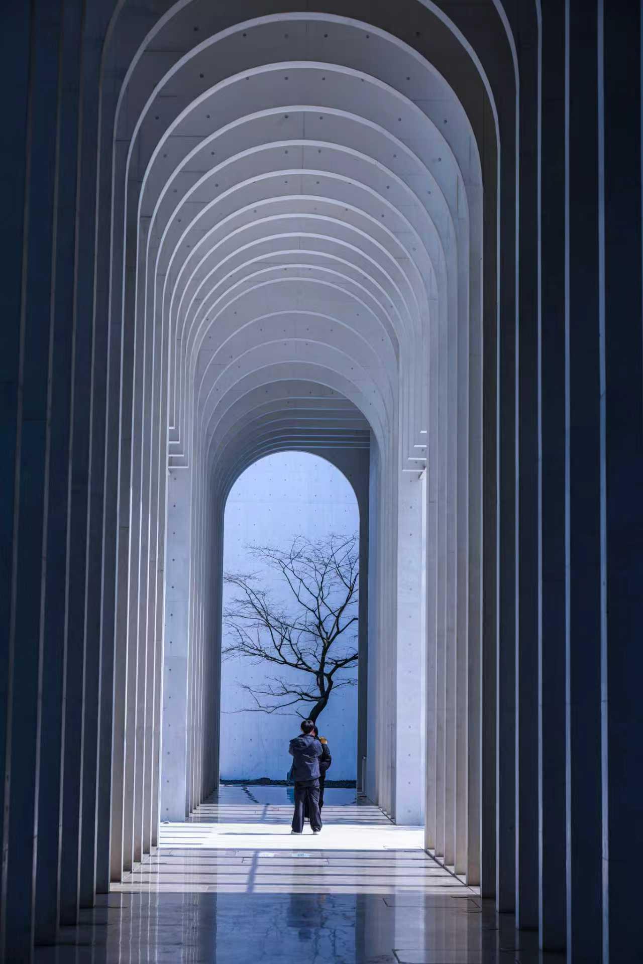 积蓄一冬的能量
只待春风唤醒
清明之前
双手翻飞
似蝴蝶
一杯香茗
呈现春天滋味