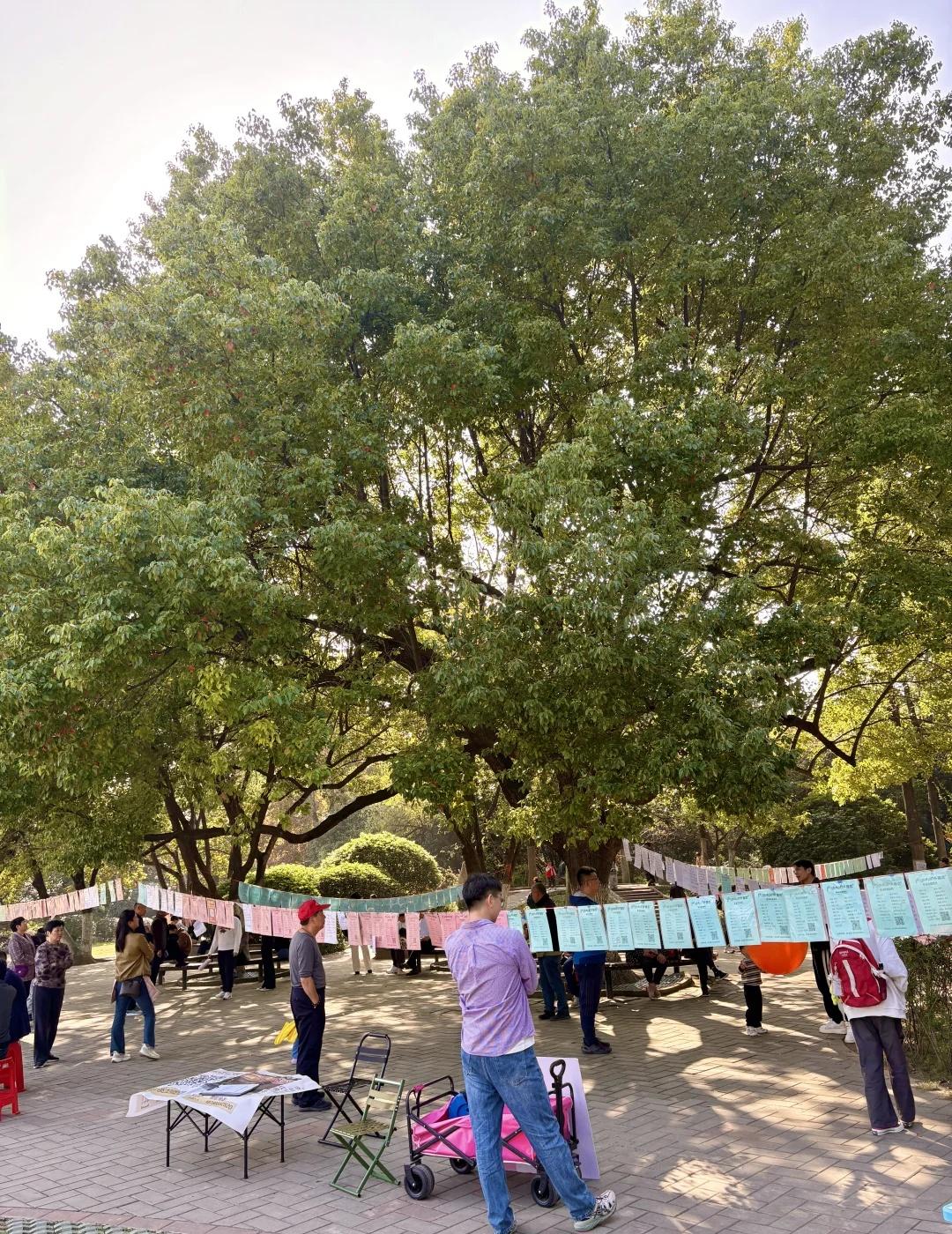 杏花公园相亲角 真的能找到对象吗
第一次来 长见识了…我妈说找不到对象就来这看看