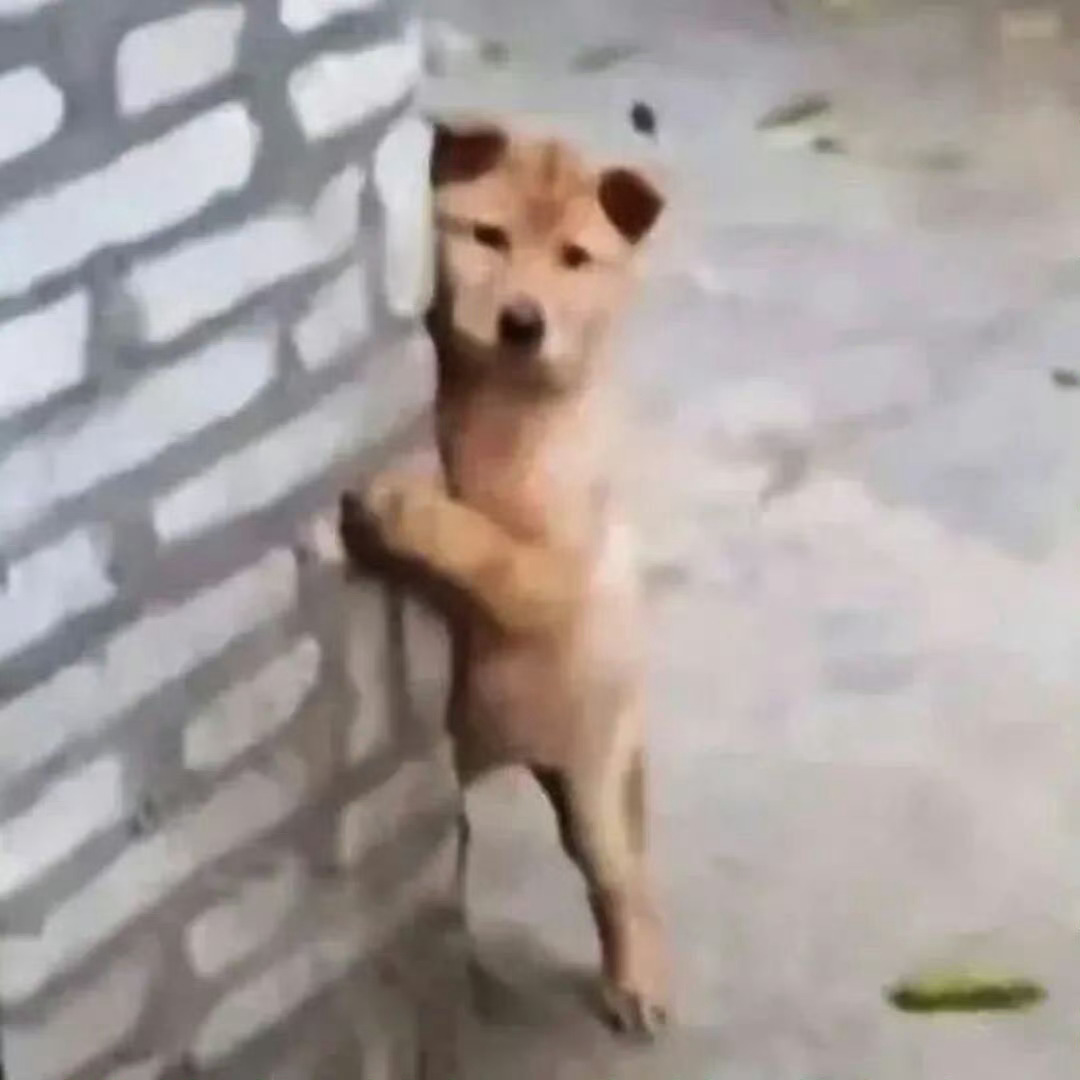 终于下班了 ​​​