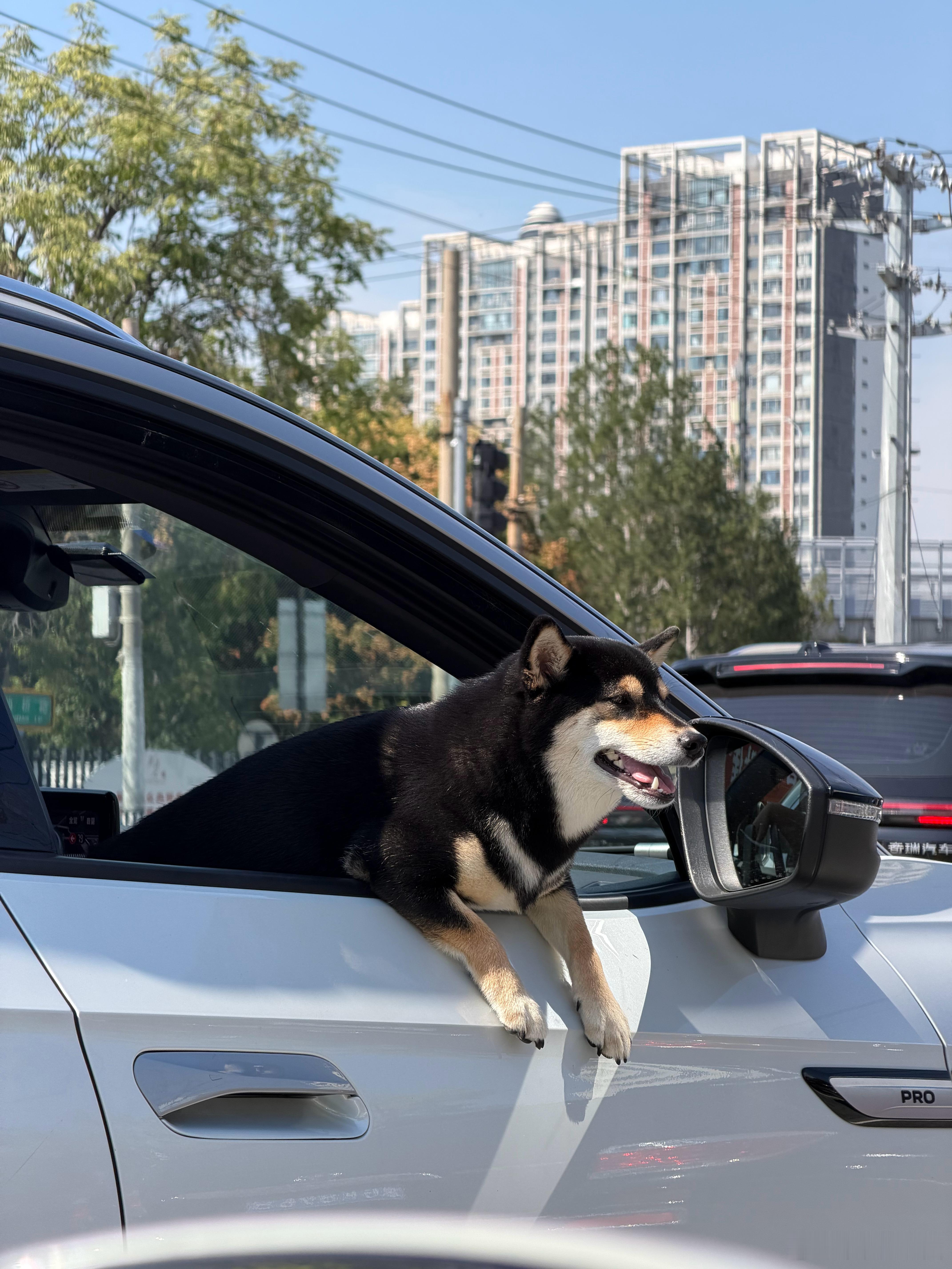 哥们你挺悠闲啊[doge]  ​​​