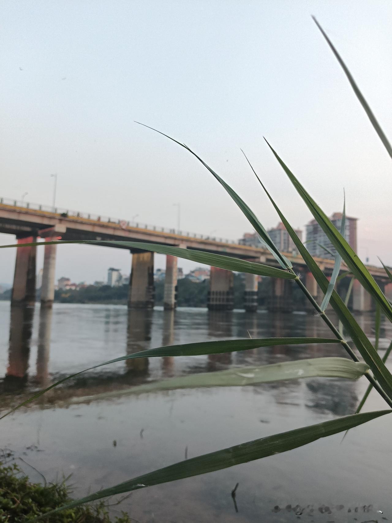 当你老了,钱和健康哪个重要?
肯定是健康。

当你老了，也没有太多的者求。吃不了