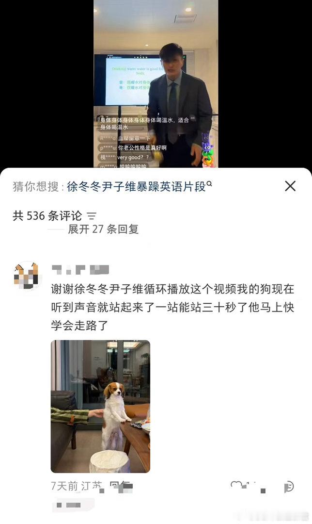 徐冬冬史诗级抗抑郁视频徐冬冬学英语这段把狗听站起来了 尹子维教的是英语，徐冬冬学