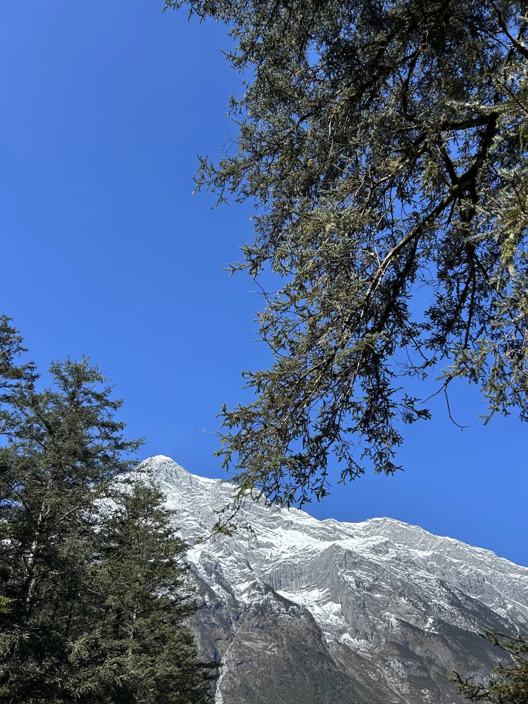 来看一眼雪山⛰️