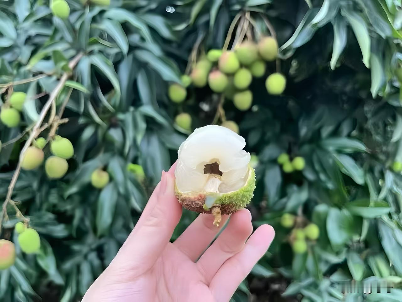 人这一辈子
活得糊涂一点，
才会更轻松自在，
不必事事太过清醒。
 
有些话心里