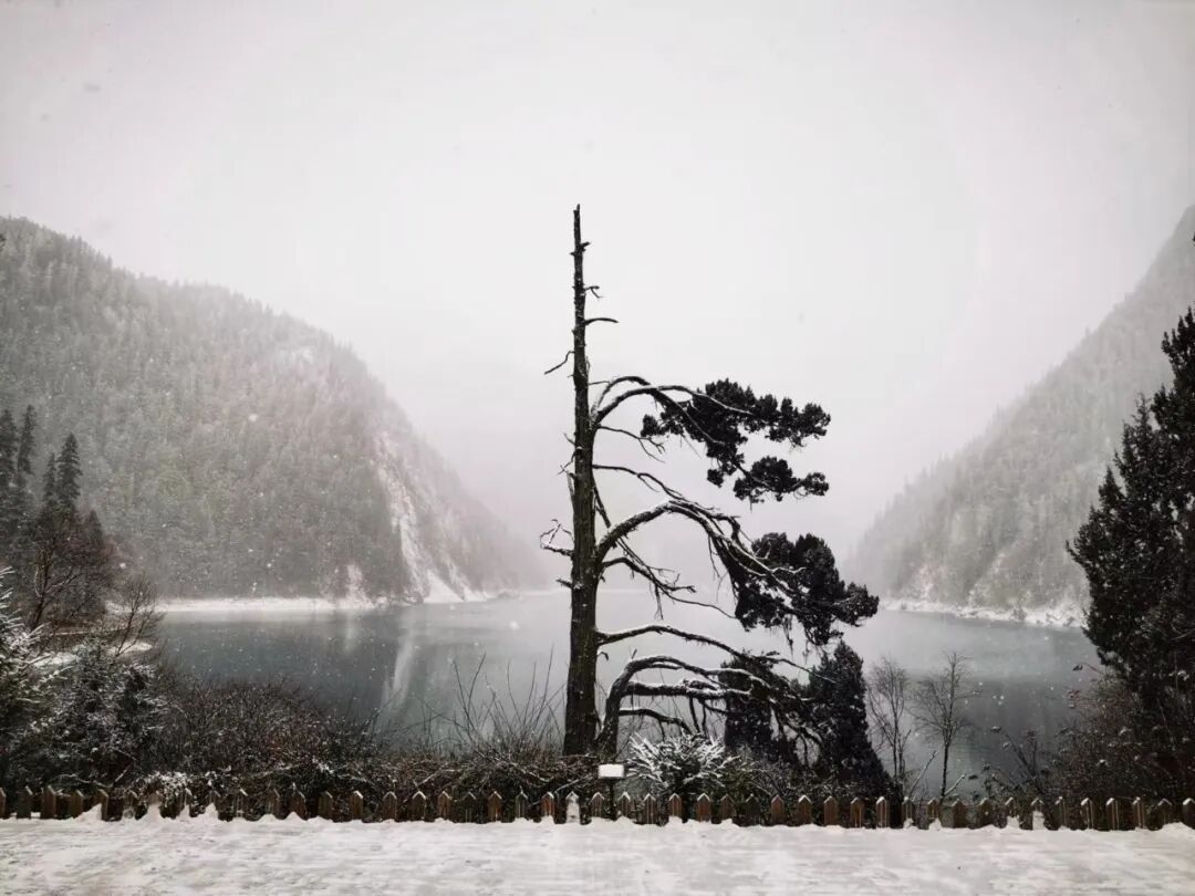 【#九寨沟严禁一切非法穿越行为#】据九寨沟：尊敬的各位游客、户外组织及社会公众：