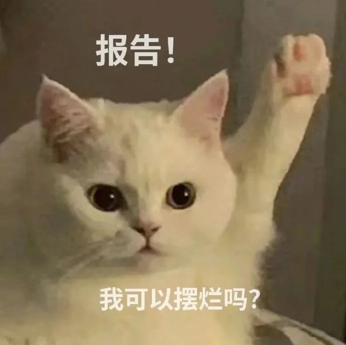 有趣好玩的报告表情包 ​​​