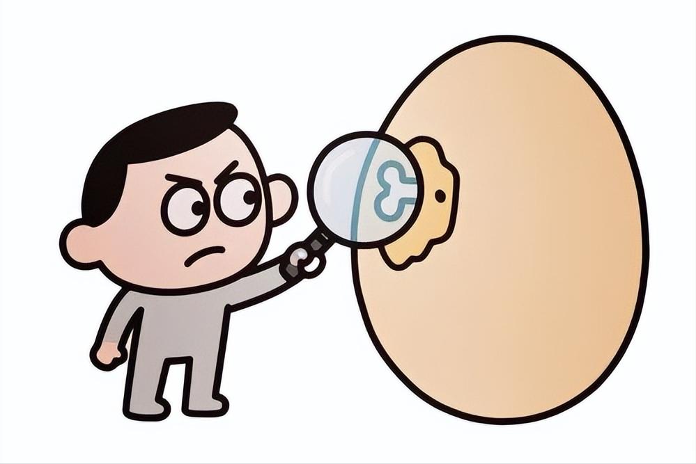 王安石派人死盯着范仲淹的儿子，想鸡蛋里挑骨头，却一无所获

1069年，同知谏院