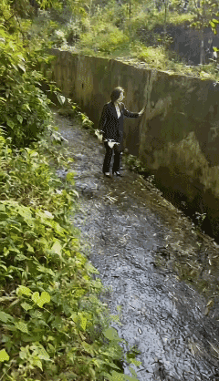 下雨生意不好做，回农村了 ……[灵光一闪]