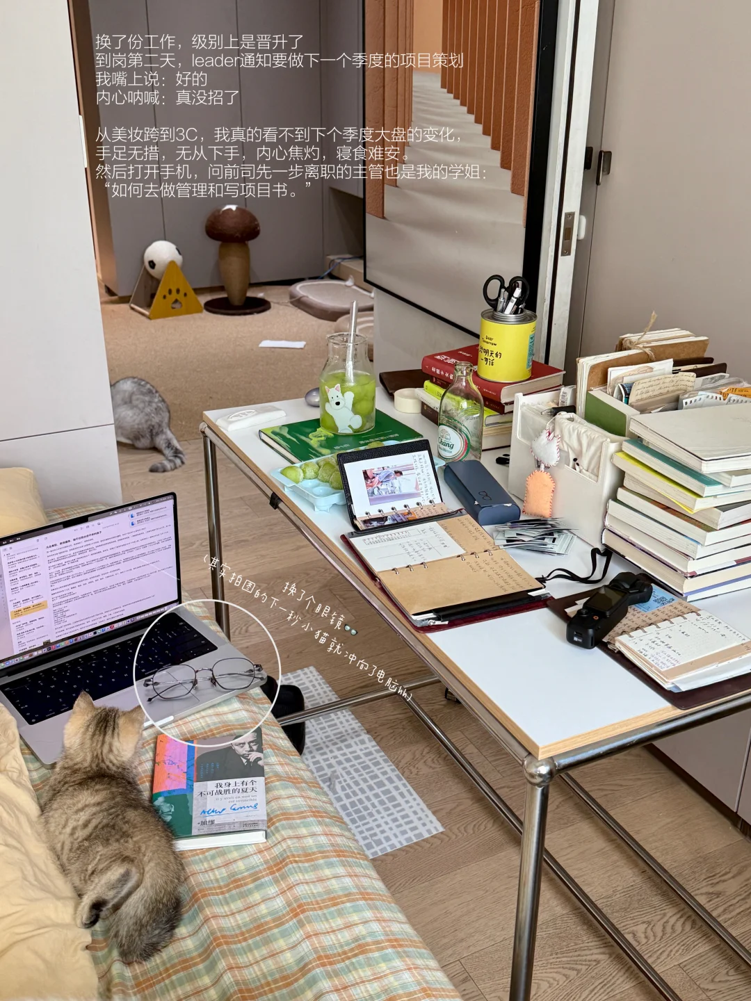 说一万遍也是长大更好！