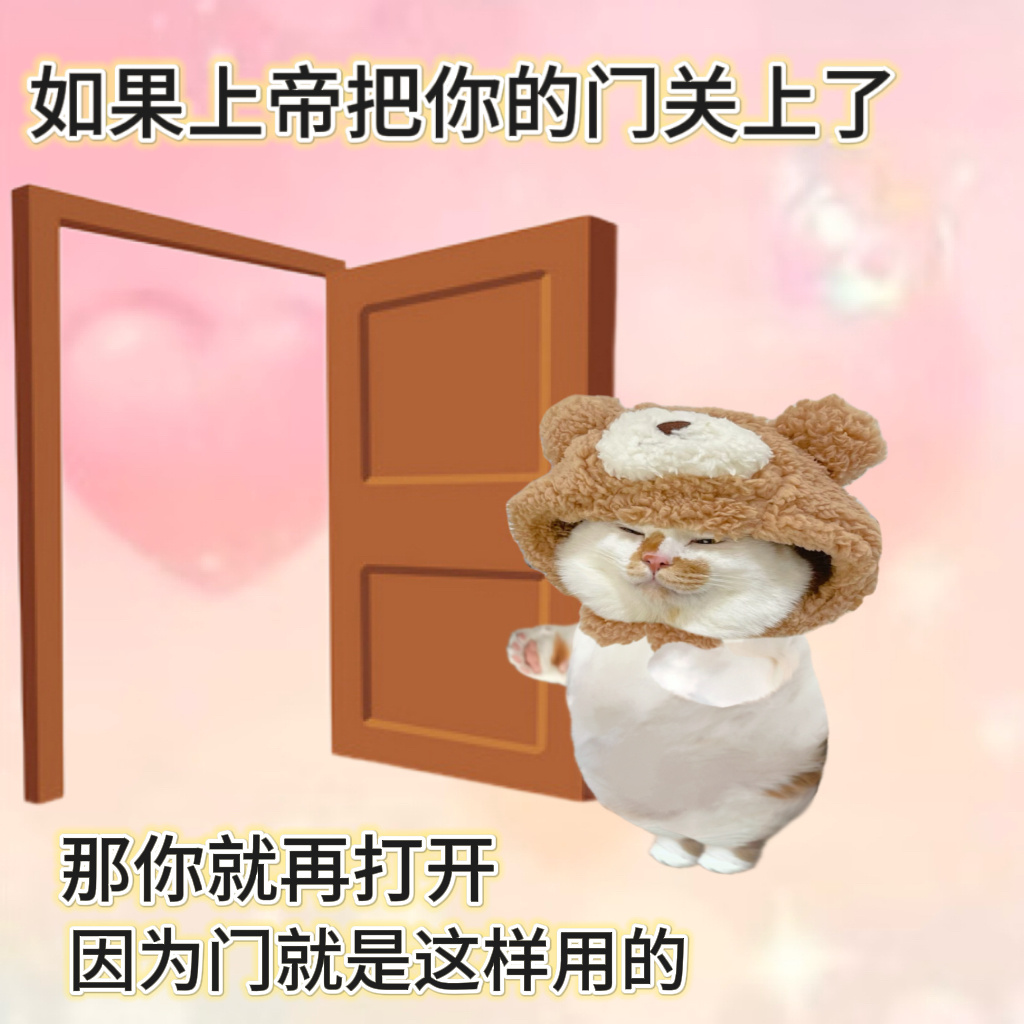 人！跟小猫学习好心态！