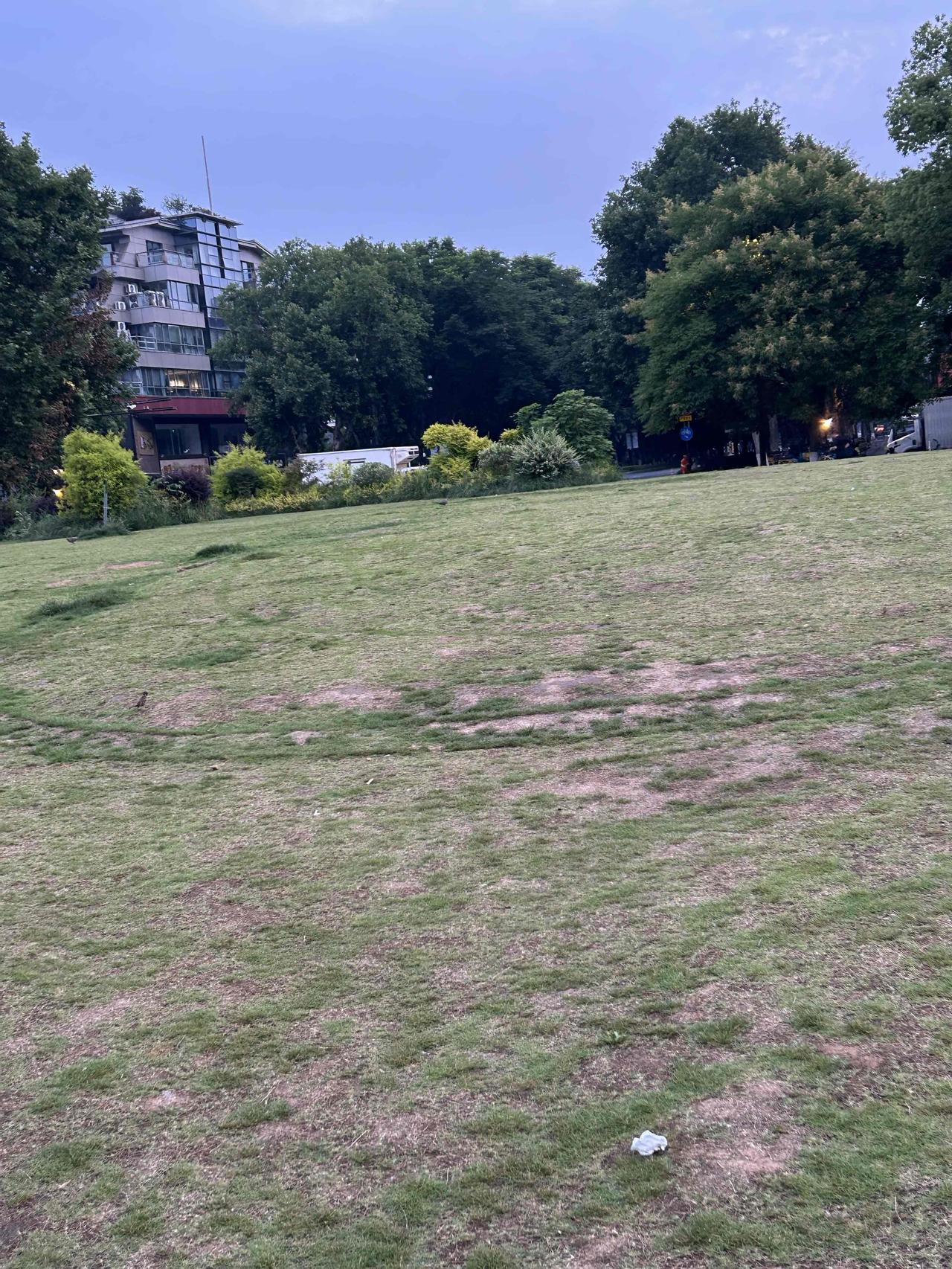 日子平平淡淡，三餐烟火安稳，知足便是最好的生活状态。