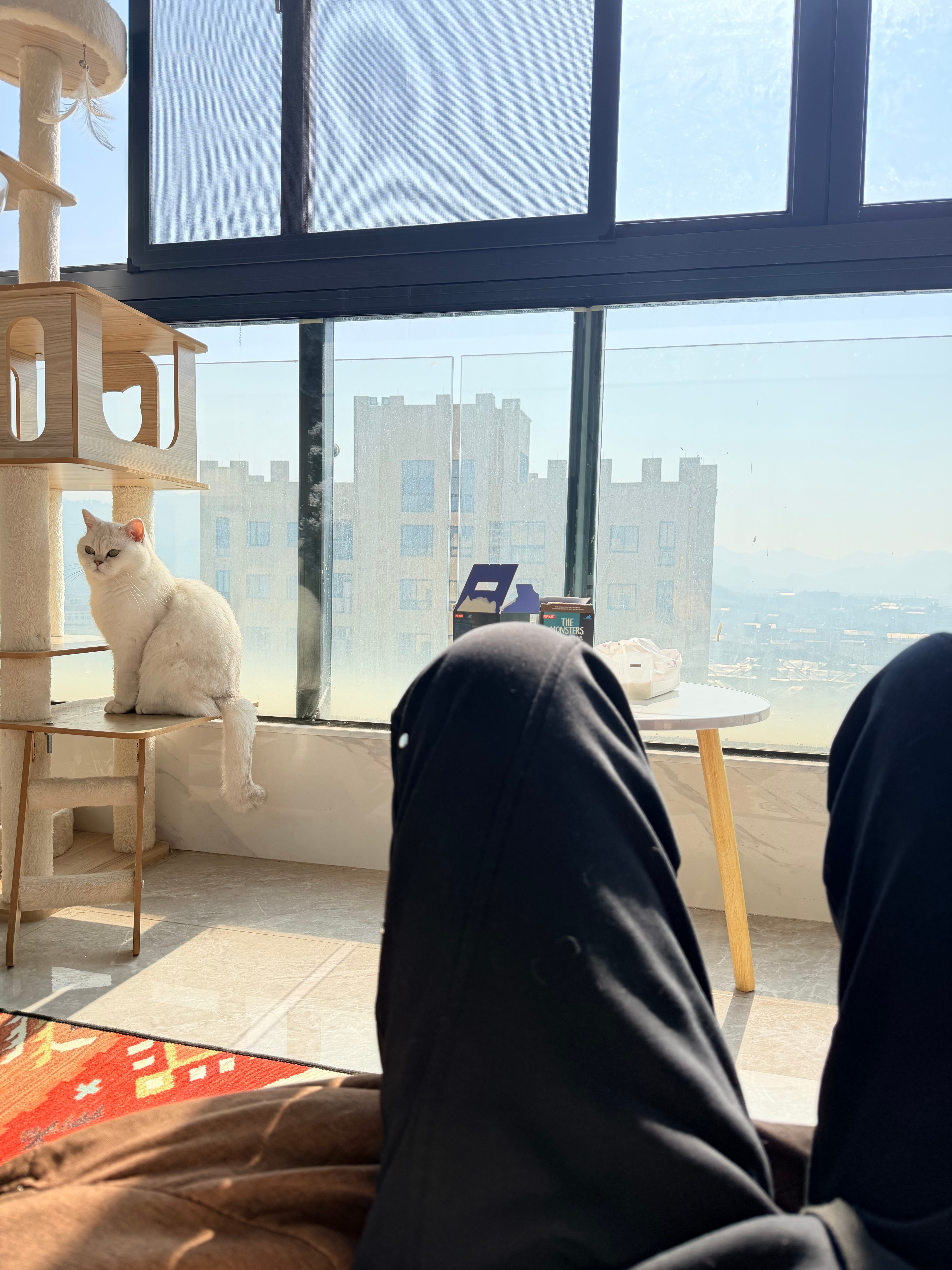 周末就喜欢这么躺着晒太阳，一动不动