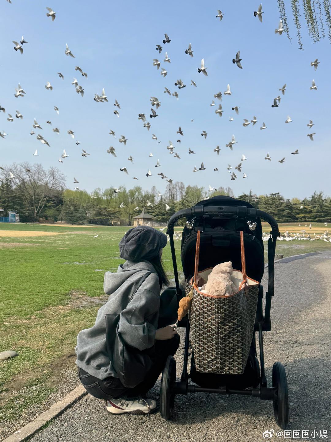 何穗抱儿子背影照何穗晒遛娃照何穗晒遛娃照，她穿着灰色卫衣和黑牛仔裤，在公园里蹲下