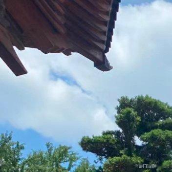 在家里养金鱼。金鱼常被称为风水鱼，可以弥补家居风水中的缺陷，使住宅充满活力。但必