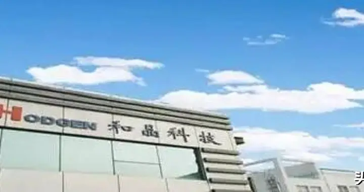 和晶科技：负债率高企不下 对外投资祸福难料