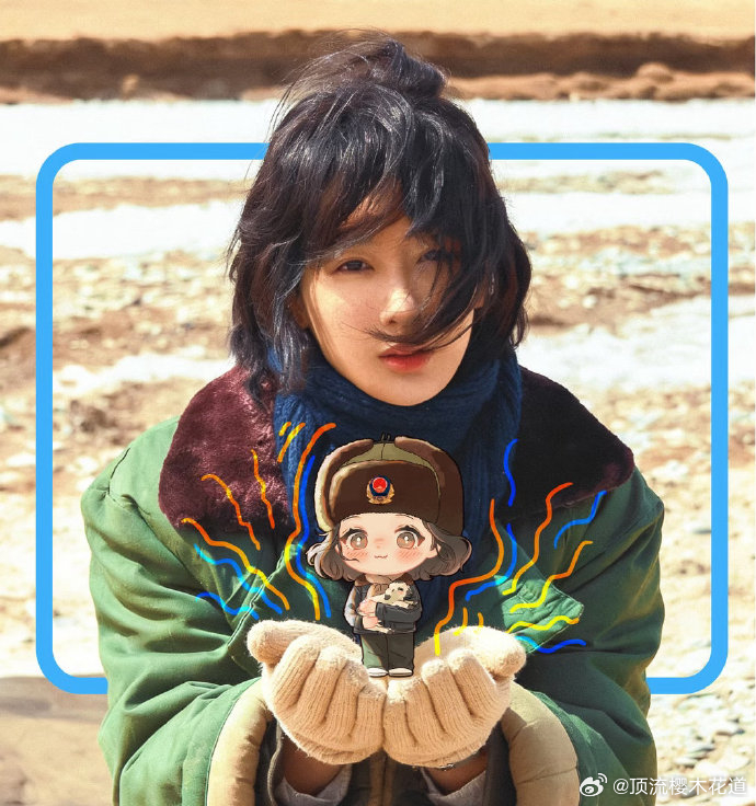 早上好，送你一个小白菊。