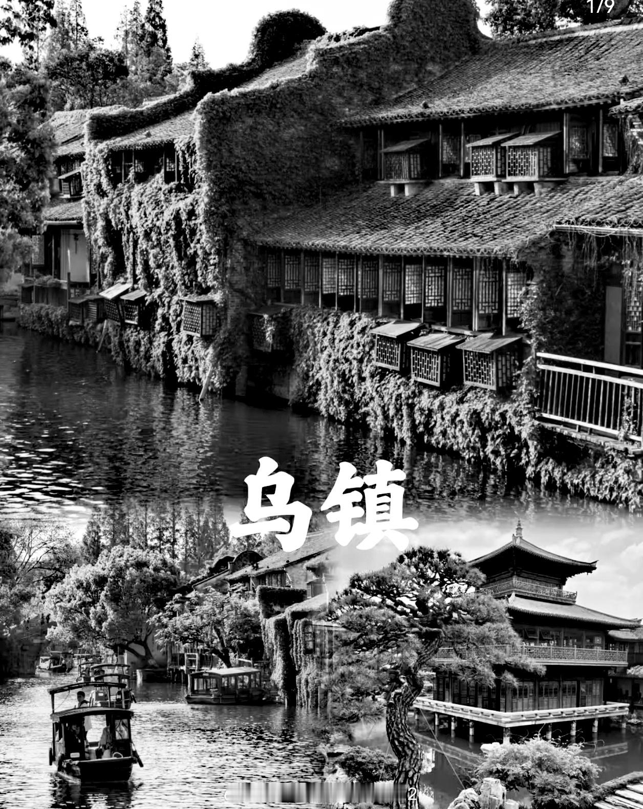 光影下的乌镇！！#光影# ​​​
