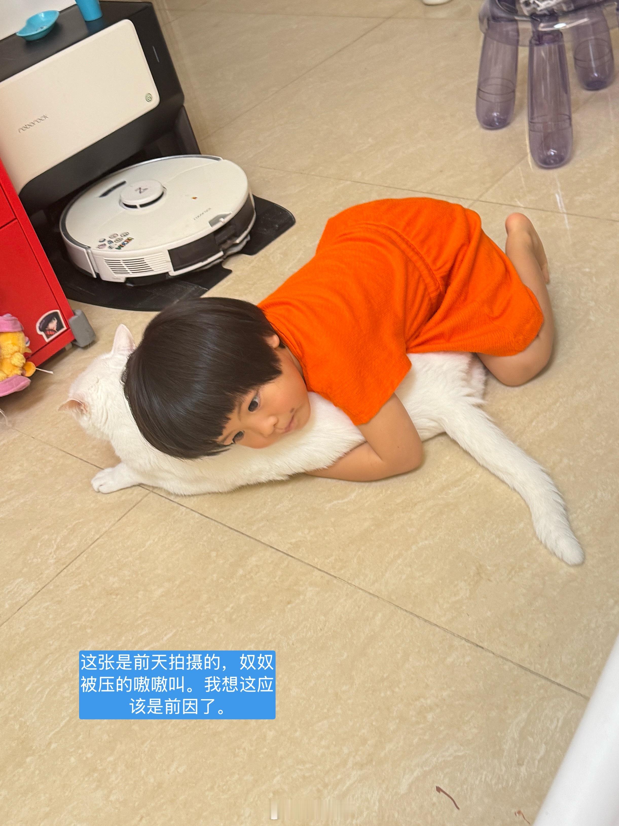 奴奴不仅尿了被子，还尿了球宝最喜欢的抱枕球宝说我要要奴奴，奴奴是只怪猫！我要把它