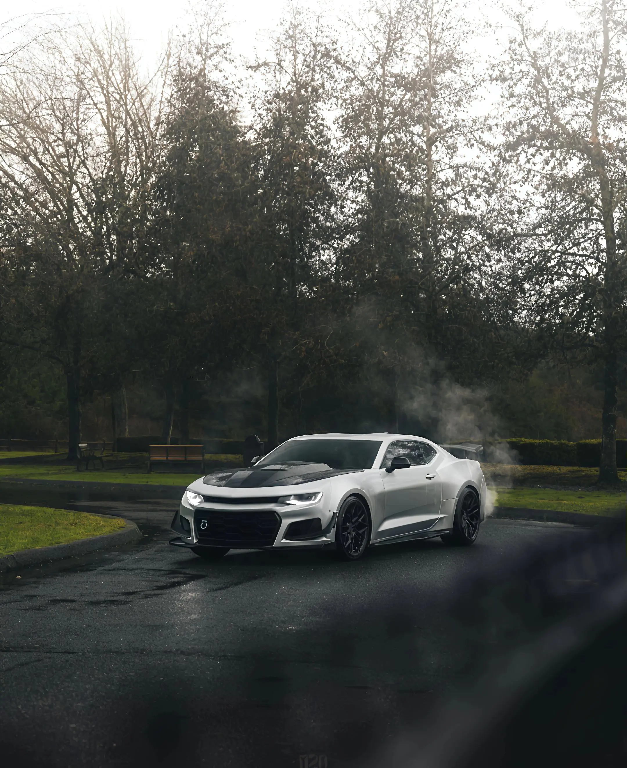 别让世俗淹没了你对生活的热情 科迈罗