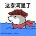 印度牛触电死亡居民殴打变压器泄愤牛触电，，，殴打变压器泄愤？哦-印度啊，那没事了