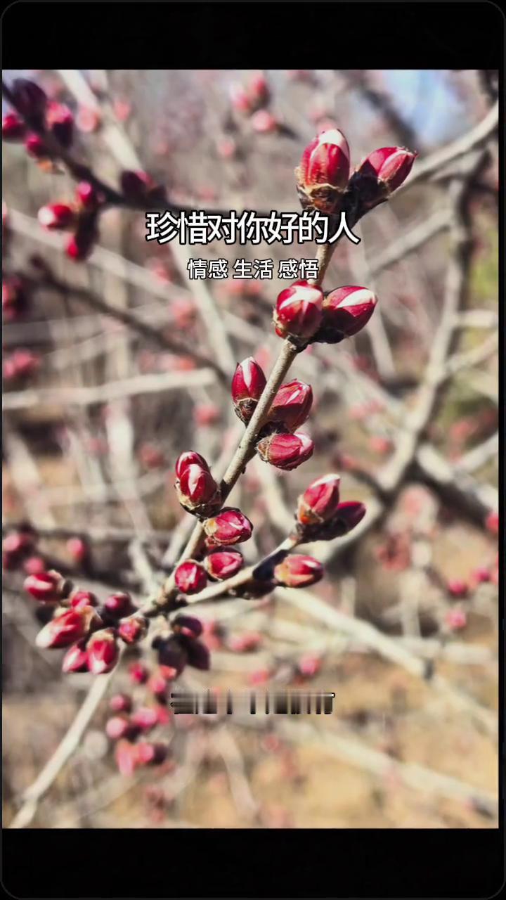 情感生活感悟：珍惜对你好的人。
在这个不是很有人情味的世界，好好珍惜对你好的人。