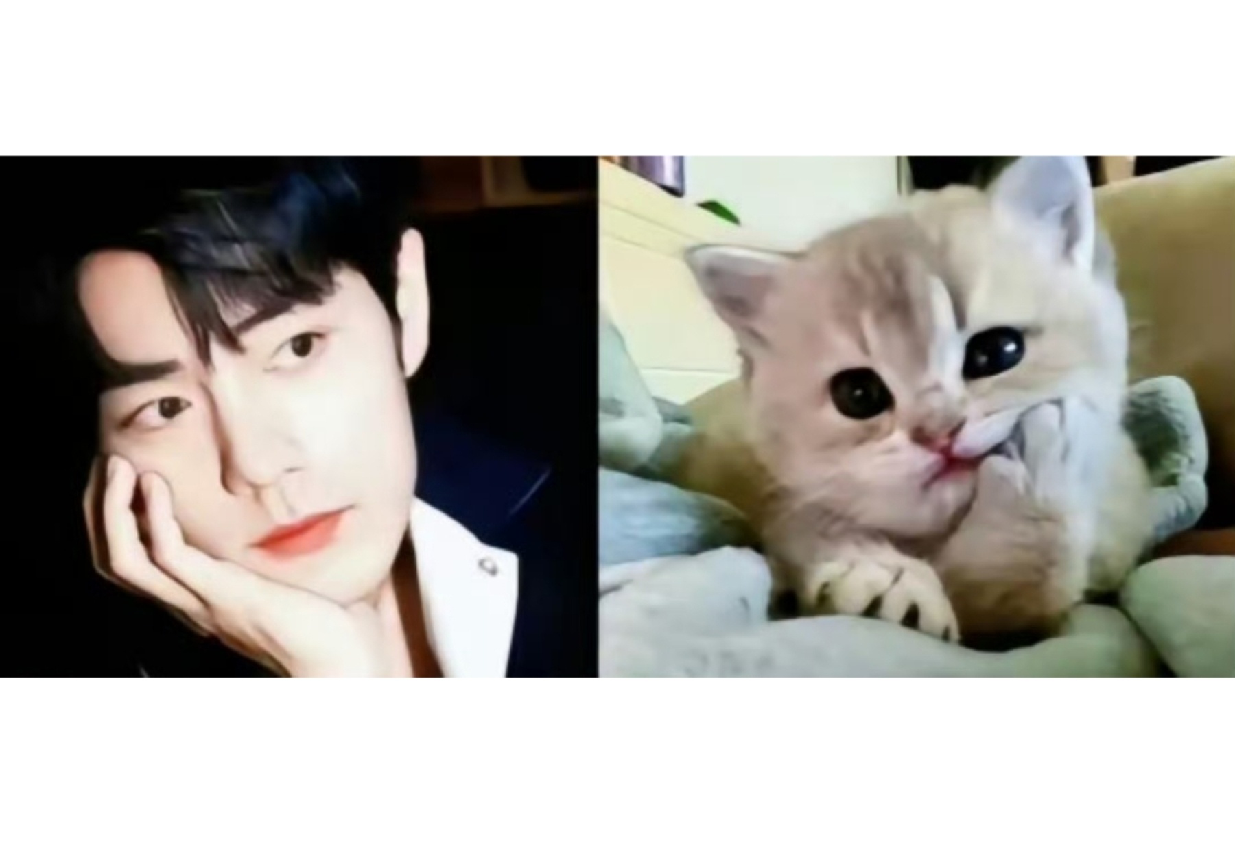 一模一样，萌化了[哇] ​​​