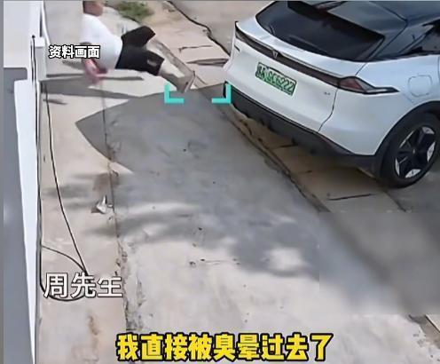 “太悲催了！”河南郑州，男子一大早开车，刚坐进车内，就闻到一股恶臭！他以为是空调
