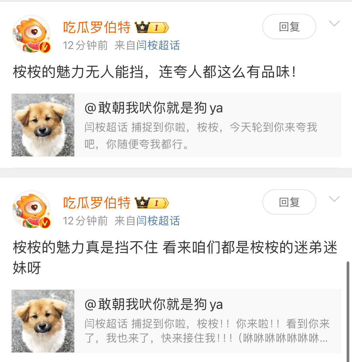 我真的很讨厌这个罗伯特[跪了]它真的很神金[跪了] 