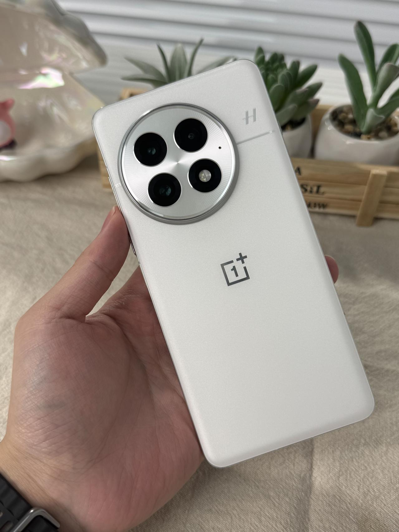 一加13会不会是钉子户最多的一代？
感觉没有什么缺点，对比目前的旗舰可能就是电池