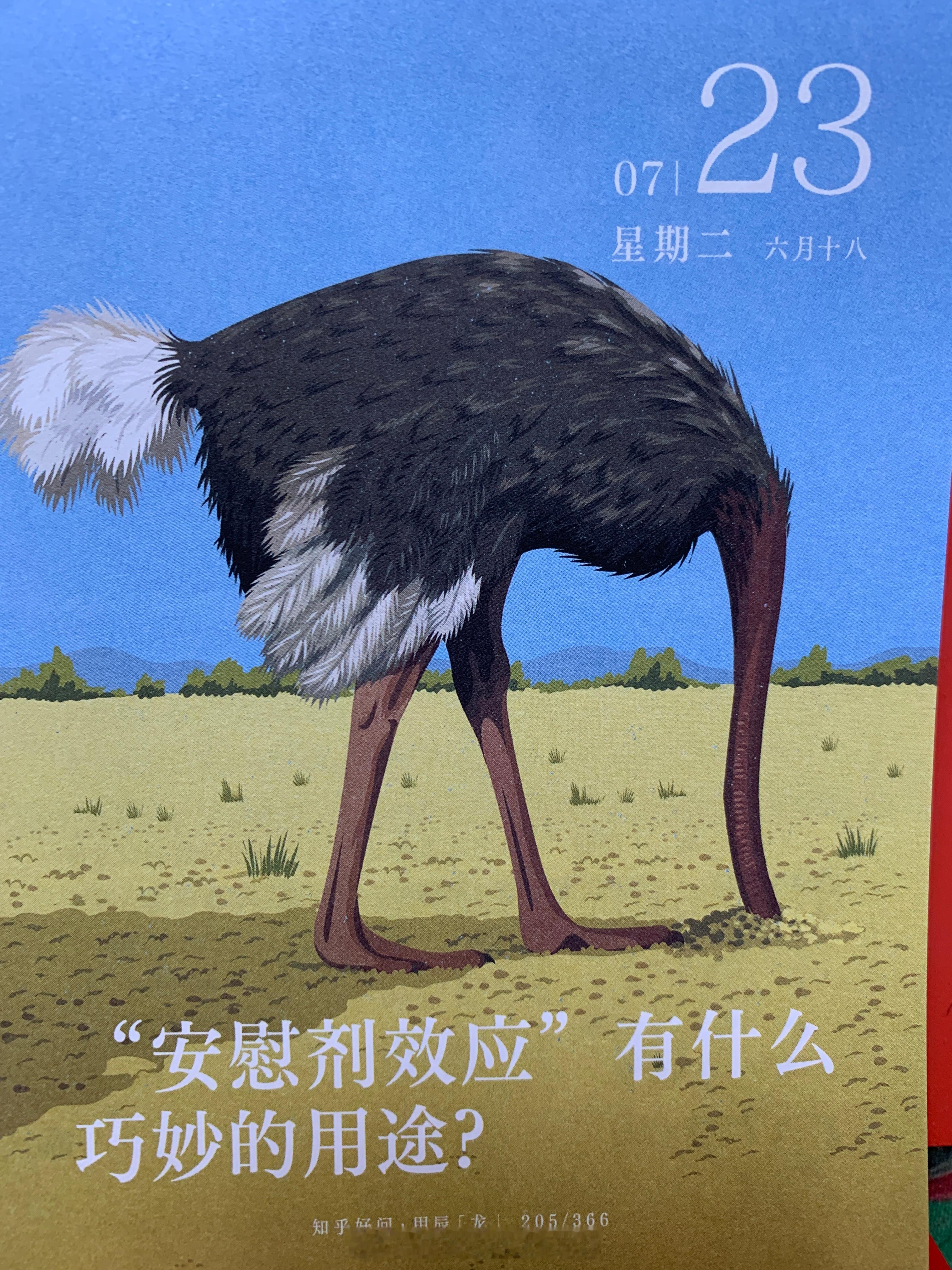 朋友们早！ ​​​