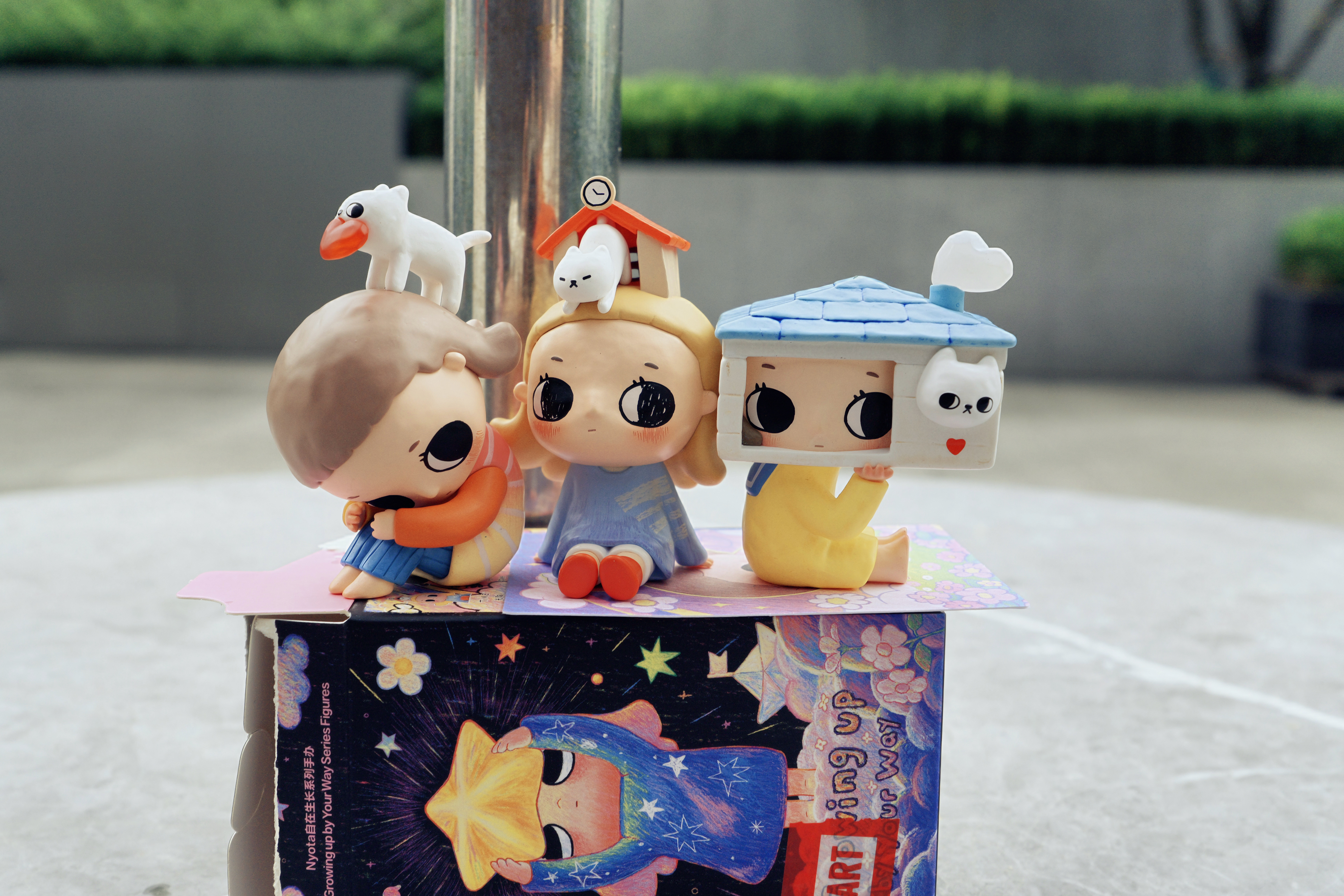 今天的夏天好短暂 ​​​