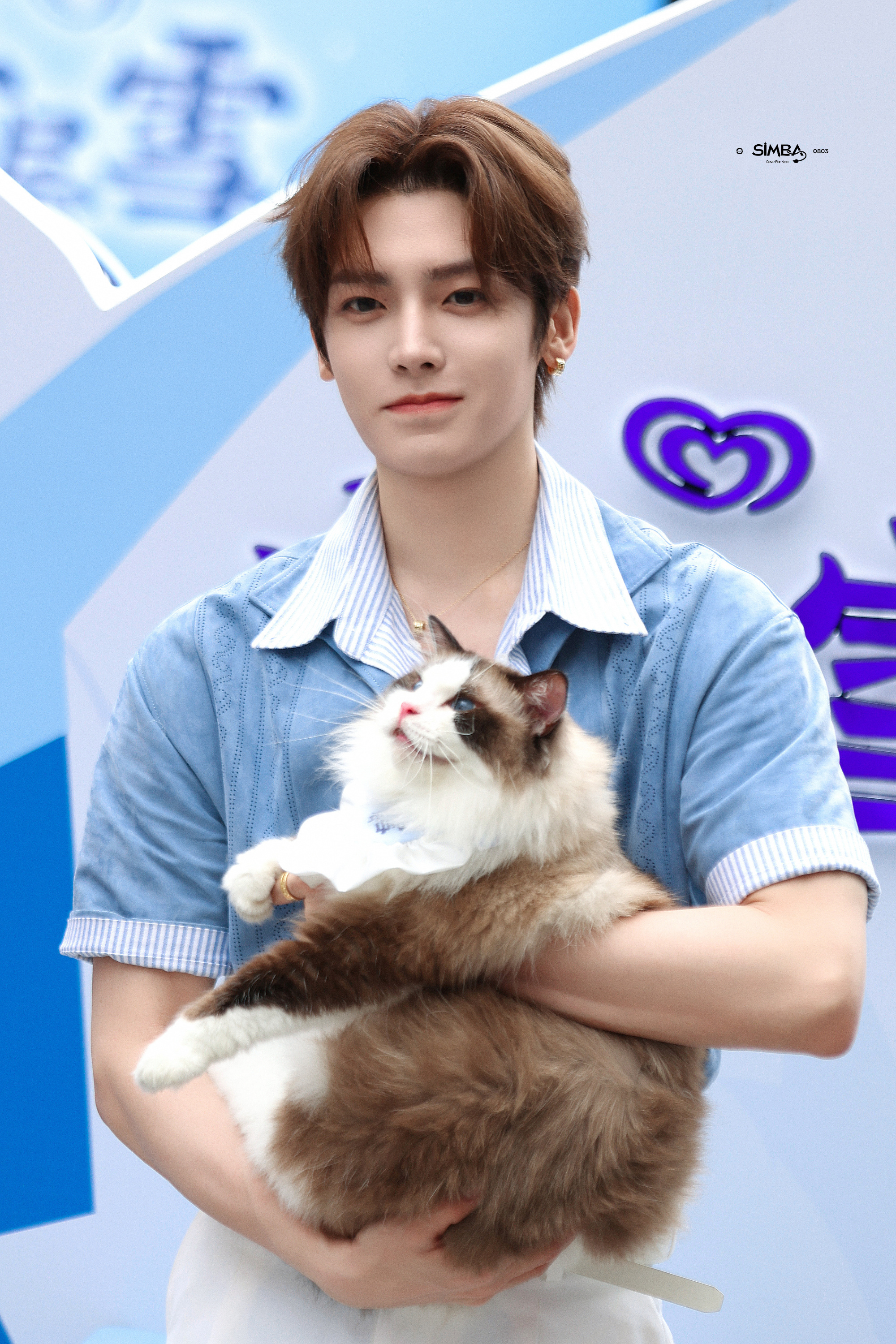 萌萌的猫哥～🐱 