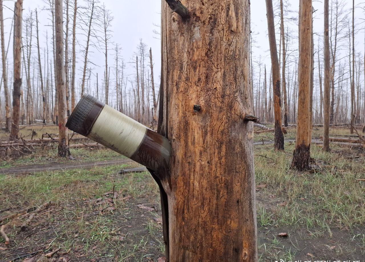 力道不够啊~居然这么大一发不能打穿树
俄乌冲突