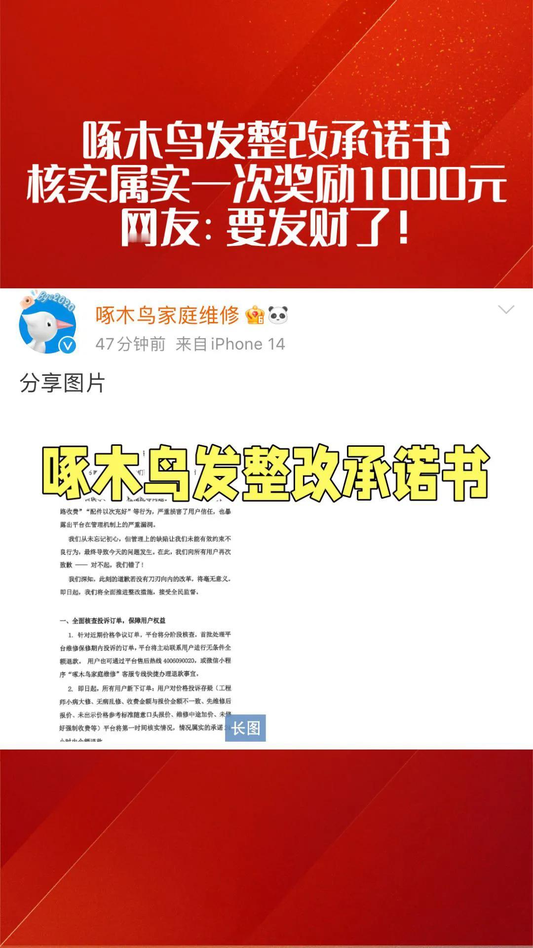 啄木鸟发整改承诺书：核实属实奖励1000元/次，网友：要发财了！