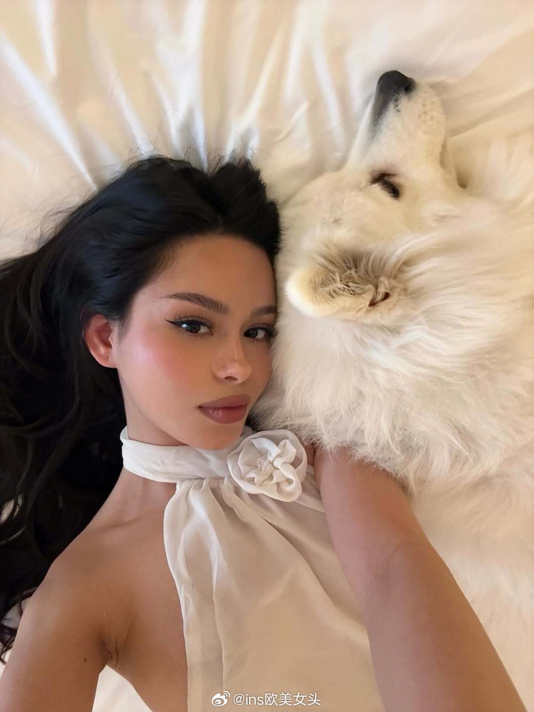 分享图片 