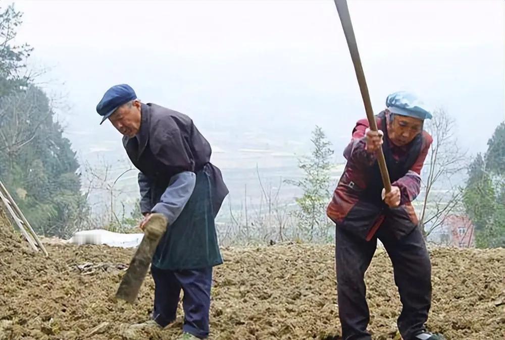 #秋日生活记录#
我发现一个问题，前几天去下乡玩的时候，
看到那些骑着电动车到处