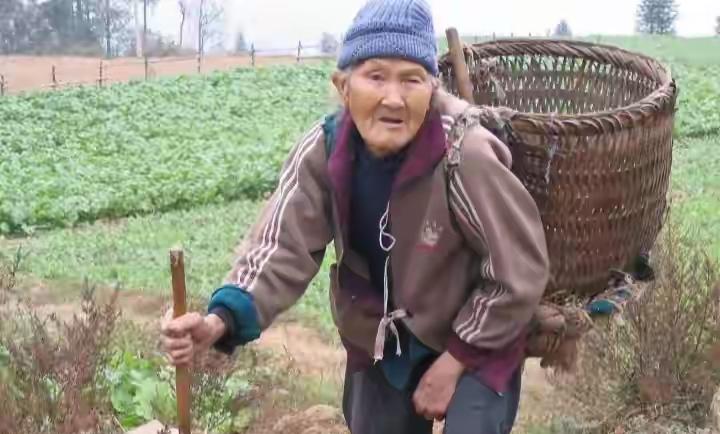 个人浅见！

许多老年人其实内心不想离开自己生活了一辈子的家，对养老院很有抵触情