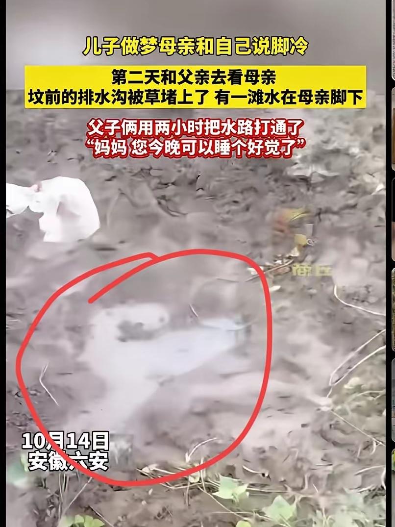 家人们谁懂啊！安徽六安这儿子的梦，哪是迷信啊，分明是刻在骨子里的牵挂在发声！梦到