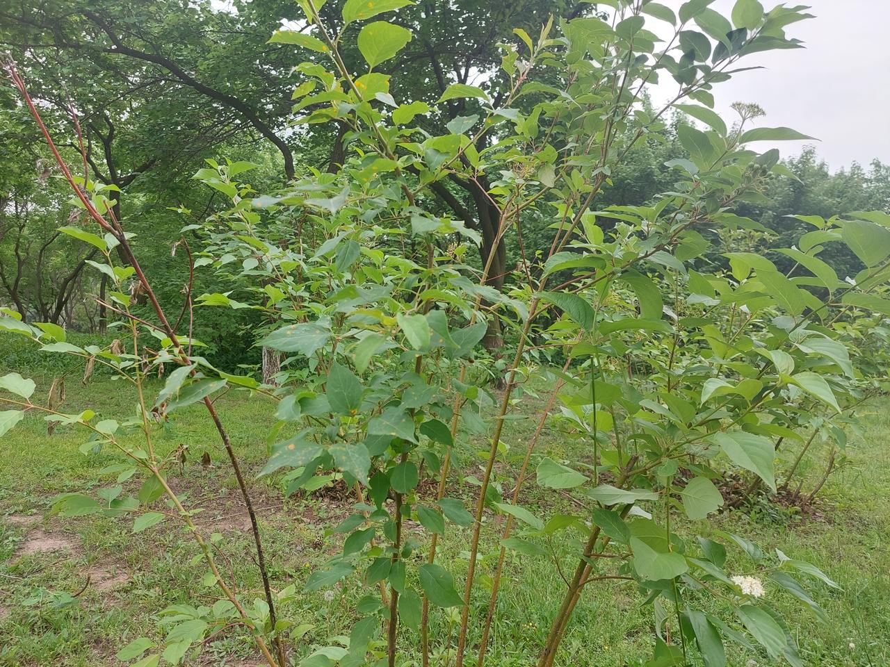 我在家乡的最好的闺蜜在微信上联系我，求我帮她一位朋友办点事，我给办了一半，另外一