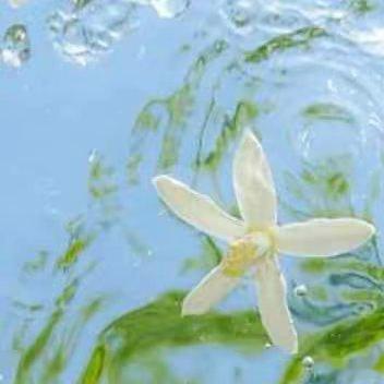 阳光信用  🍀阳光信用🍀 阳光信用 每日一善一滴水是微不足道的，渗入泥土，便