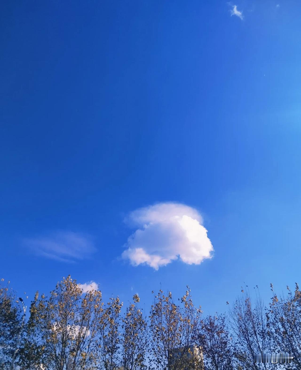 这是哪个小仙女吹了一口仙气？[偷笑]