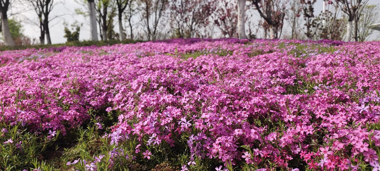 为了生活加油！鼓励自己话 对明天的自己 两句话送给大家 请跟自己笑一笑 现在就问