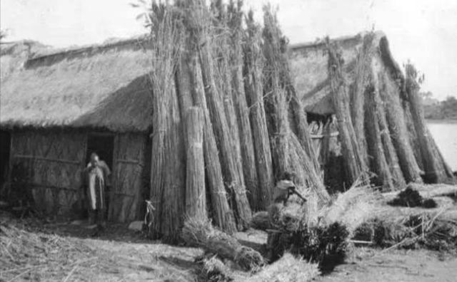 1955年，新中国首次实行军衔制，授衔不仅是对将领功绩的肯定，更是一次历史性的评